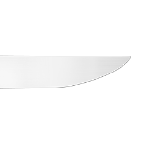 Carving Knife